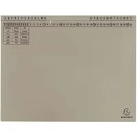 Exacompta 25 Exacompta Hängehefter "Exaflex Standard", 320 g/m², mit 1 Abheftvorrichtung, grau – Produktbild 1 von 1
