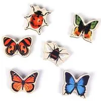 WERKHAUS WERKHAUS Magnet-Set - Nature Fun – Produktbild 1 von 1