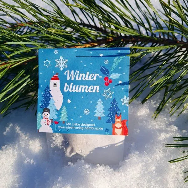 Ideenverlag Hamburg Ideenverlag Hamburg 10 „Winterblumen“ Samenbomben im Tütchen mit Kaltkeimer-Saatgut – Produktbild 4 von 6