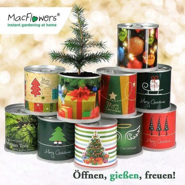 MacFlowers Weihnachtsbaum in der Dose - Merry Christmas Grün von MacFlowers – Produktbild 6 von 6