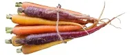 Deutschland Karotten, bunt – Produktbild 1 von 1