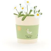 Die Stadtgärtner Die Stadtgärtner Gänseblümchen-Anzuchtset als Dankeschön-Geschenk | Nachhaltige Geschenkidee für Dankeschön, Abschied & Wertschätzung – Produktbild 1 von 1