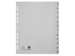 Exacompta 10 Exacompta Register, 12 Taben numerisch, 120 µ, DIN A4 Maxi, grau – Produktbild 1 von 1