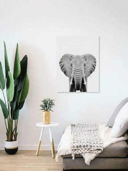 Photocircle Photocircle Poster / Leinwandbild - Elephant (Black and White) – Produktbild 4 von 4