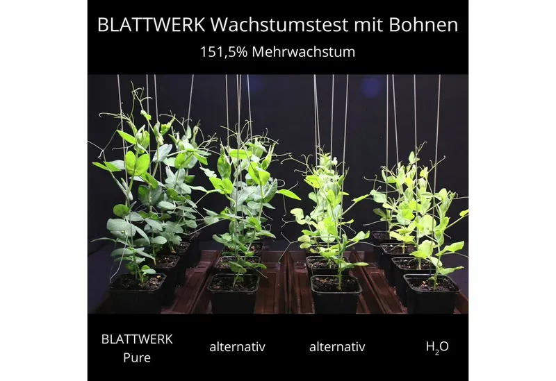 BIOFABRIK Bio-Erde BLATTWERK Dünger, Biodünger, Universaldünger vegan, (1-St) – Produktbild 3 von 5
