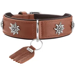 Dog Sport Dog Sport HUNTER Hundehalsband münchen cognac S-M – Produktbild 1 von 1
