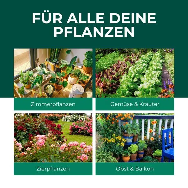 Silberkraft Silberkraft Neemöl mit Emulgator – Pflegendes Neemöl-Konzentrat für Deine Pflanzen – Produktbild 3 von 4