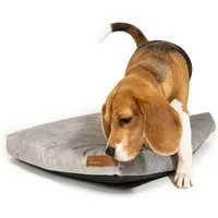Rexproduct Rexproduct SoftPet Matratze grau S – Produktbild 1 von 1