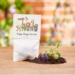 Die Stadtgärtner Die Stadtgärtner 5 bunte Blumenmurmeln im Tütchen mit Wildblumensaatgut | Geschenkidee zur Einschulung, Schulanfang, für Schultüte | "Hipp Hipp Hurra!" – Produktbild 1 von 1