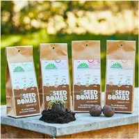 Die Stadtgärtner Die Stadtgärtner Set mit 4 Sorten Samenbomen | Tolles Geschenk für Gartenliehaber:innen – Produktbild 1 von 1