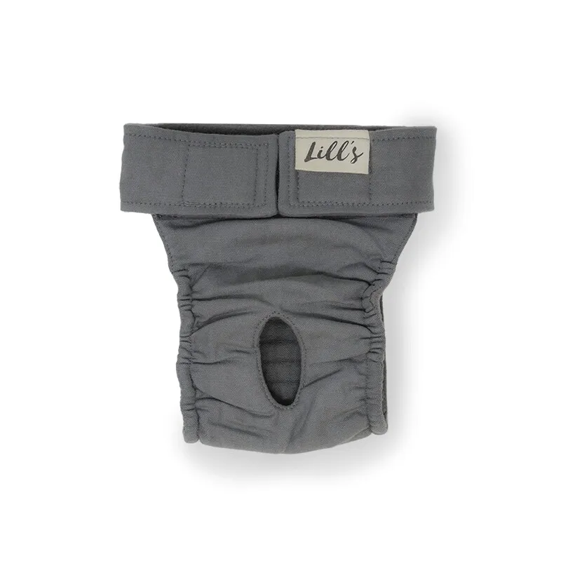Lills Lills Läufigkeitshöschen "Lou" Stone Grey grau XS – Produktbild 1 von 2