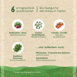 Die Stadtgärtner Die Stadtgärtner BIO-Saatgut-Set "Balkongemüse" - Saatgut Set ideal für den Balkon oder Terrasse – Produktbild 1 von 1