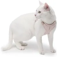 LucyBalu LucyBalu EXPLORER Katzengeschirr - Hello Kitty Edition M/L – Produktbild 1 von 1