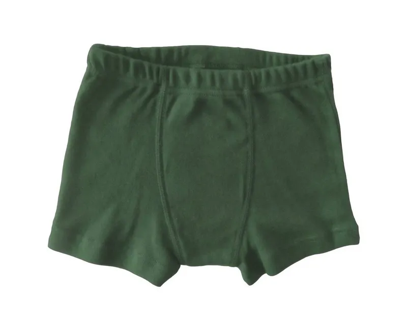 HERMKO Panty 2900 (Pack, 4er) 100 % Bio-Baumwolle Jungen Pant mit Weichbund Feinripp, Grün, – Produktbild 2 von 2