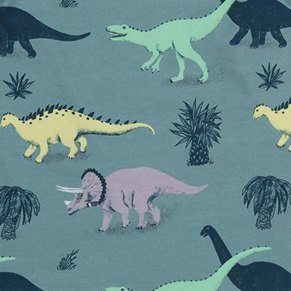 Walkiddy Walkiddy Kinder Langarmshirt GOTS zertifiziert – Bio-Baumwolle, Blaugrün mit Dinosauriermotiv, weich & bequem, Blau, – Produktbild 2 von 2
