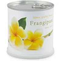 MacFlowers MacFlowers Blumen in der Dose Frangipani - Plumier – Produktbild 1 von 1