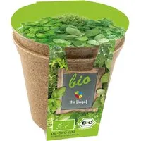 Bio-Pflanzset 'Easy Kräuterduo' mit 1-4 farbigem individuellem Aufdruck – Produktbild 1 von 1