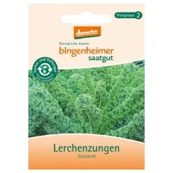 Bingenheimer Saatgut Grünkohl Lerchenzungen – Produktbild 1 von 1