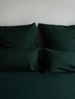 erlich textil erlich textil Cotton Select Spannbettlaken für Unisex aus Baumwolle in waldgrün – Produktbild 1 von 1