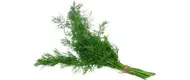 Deutschland Deutschland Dill (Bund) – Produktbild 1 von 1