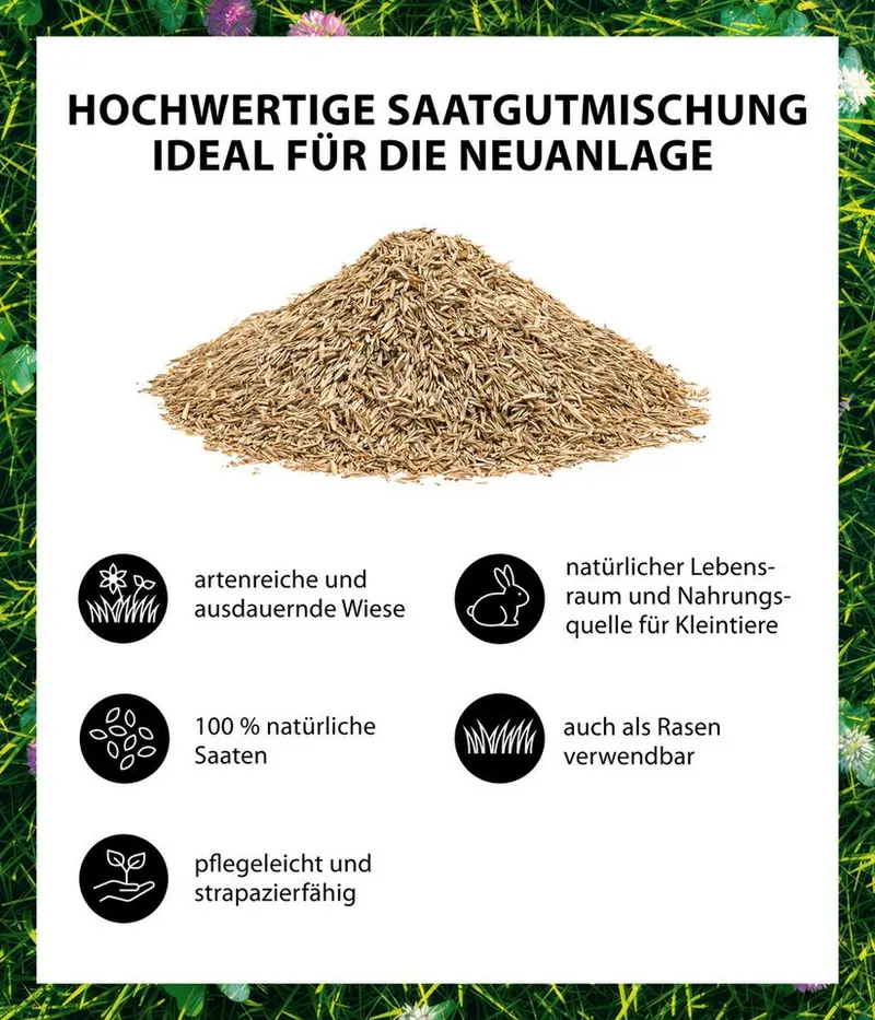Dehner Rasensamen Bio Saatgut Naturwiese, insektenfreundlich, pflegeleicht, 250 g, 25 m², strapazierfähig, für naturnahe Gärten, lebendige Naturflächen – Produktbild 3 von 5