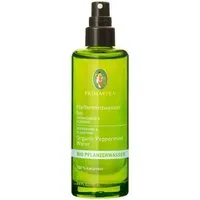 Primavera Primavera Pfefferminzwasser bio 100 ml – Produktbild 1 von 1