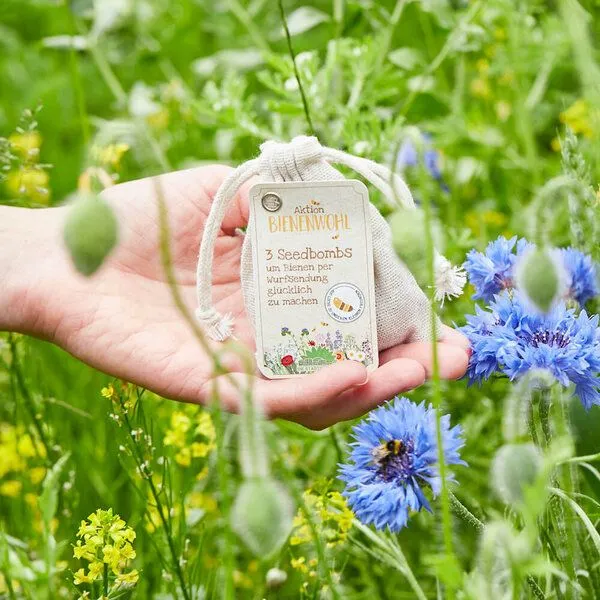 Die Stadtgärtner Die Stadtgärtner Bienenwohl-Samenbomben I 100% ökologisch & mindestens 2 Jahre haltbar – Produktbild 3 von 4