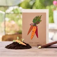 Die Stadtgärtner Die Stadtgärtner Osterkarte "Frohe Ostern" I Karte zu Ostern I Ostergrußkarte mit Saatgut I Grußkarte "Frohe Ostern" – Produktbild 1 von 1