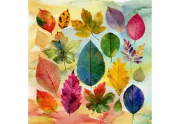 ti-flair Papierserviette, Servietten Papier 33x33cm 3-lag. mit mit Herbstblätter Motiv 20 Stück – Produktbild 1 von 1