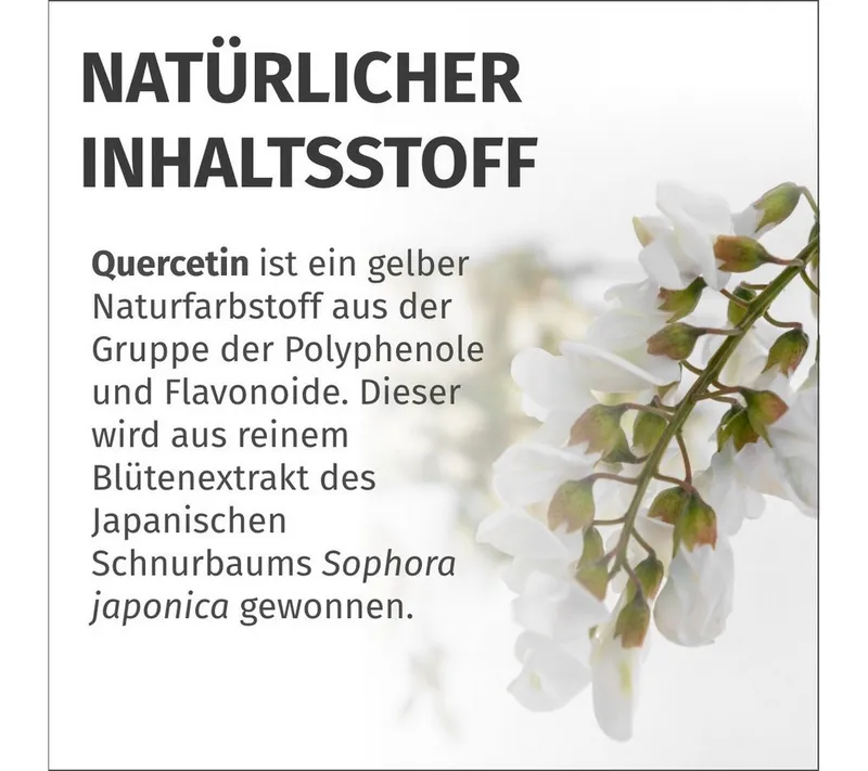 Green Naturals Green Naturals Quercetin 500 mg vegan – Produktbild 4 von 6