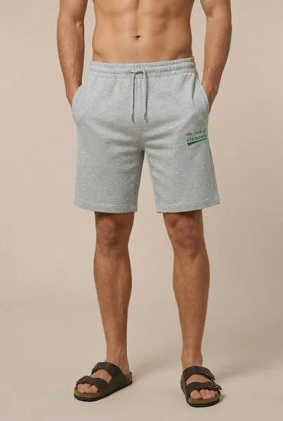 THE FACE OF ELEMENTS THE FACE OF ELEMENTS Statement - Relaxed Fit Shorts aus 100% Bio-Baumwolle, Heather grey (grau), – Produktbild 2 von 3