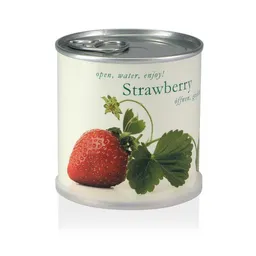 MacFlowers MacFlowers Pflanzen in der Dose - Erdbeere / Strawberry – Produktbild 1 von 1