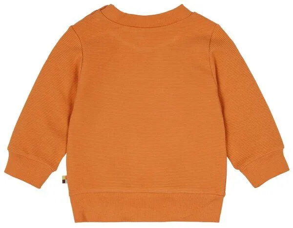 loud + proud loud + proud Babys & Kinder Sweat Rippenstruktur, GOTS-zertifiziert, Carrot(orange), – Produktbild 1 von 1