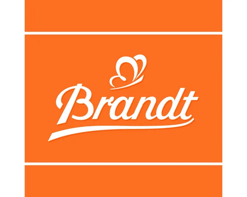 Brandt Brandt Brot, Brandt Zwieback Minis Vollkorn Zartbitter feinherbe Schokolade 95g – Produktbild 2 von 2
