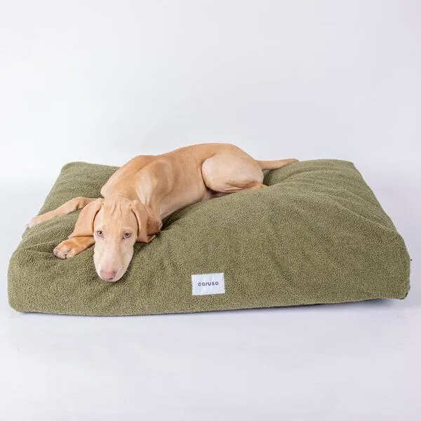 Caruso Conscious Pet Supply Caruso Conscious Pet Supply Hundebett - Teddy Waldgrün - aus Upcycling- und Recyclingmaterial – Produktbild 1 von 4