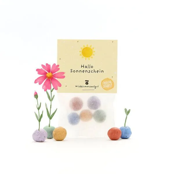 Die Stadtgärtner Die Stadtgärtner 5 bunte Blumenmurmeln im Tütchen mit Wildblumensaatgut | Geschenk für Freunde, zur Aufmunterung & als Dankeschön – Produktbild 1 von 4
