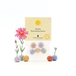 Die Stadtgärtner Die Stadtgärtner 5 bunte Blumenmurmeln im Tütchen mit Wildblumensaatgut | Geschenk für Freunde, zur Aufmunterung & als Dankeschön – Produktbild 1 von 1