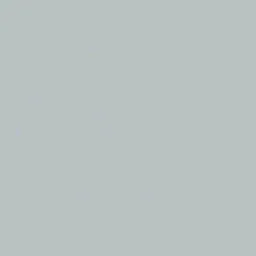 folia folia Fotokarton A4  300g/m² 50 Blatt Silber – Produktbild 1 von 1