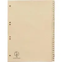 Register aus Tauenpapier 1-31, DIN A4 – Produktbild 1 von 1