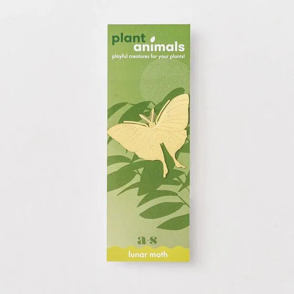 another studio another studio Plant Animal - Design Pflanzendekoration - Figuren aus Messing, Nachtfalter, – Produktbild 3 von 4