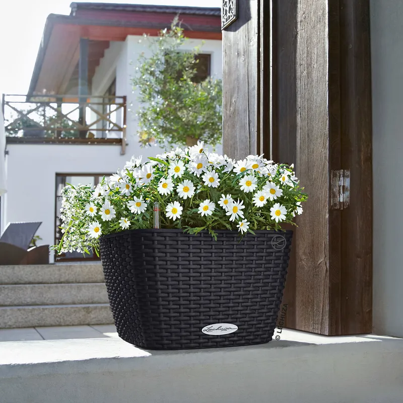 Lechuza® Lechuza® 'Bacino Cottage', graphitschwarz, ca. 30 x 30 x H 18 cm, Schwarz, – Produktbild 1 von 1
