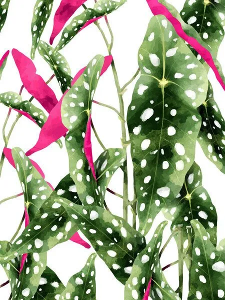 Photocircle Photocircle Poster / Leinwandbild - Happiness Is...Buying Plants – Produktbild 1 von 4