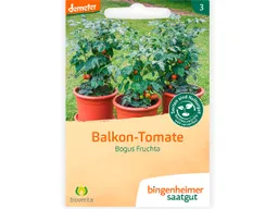 Bingenheimer Saatgut bingenheimer saatgut Bio-Samen Balkon-Tomate "Bogus Fruchta", 1 Stk. – Produktbild 1 von 1