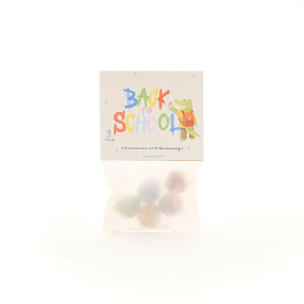 Die Stadtgärtner Die Stadtgärtner Blumenmurmeln zum Schulstart "Graffiti" | 5 bunte Blumenmurmeln im Pergamintütchen (ca. 10 x 5 cm) | mit coolem Motiv | Kreative Geschenkidee für Kinder, Schule & Schulalltag – Produktbild 1 von 1
