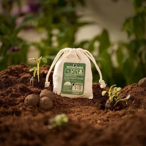 Die Stadtgärtner Die Stadtgärtner 8 Seedbombs "Sonnenblumen" im Mini-Jutebeutel – Produktbild 3 von 4