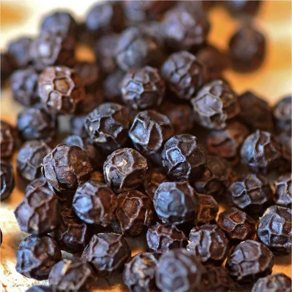 BAGHI BAGHI Nilgiri Pfeffer bio schwarz ganz, Single Plantation/ Indien – Produktbild 4 von 4