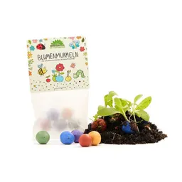 Die Stadtgärtner Die Stadtgärtner Set aus 10 x 5 bunten Blumenmurmeln für Kinder I Mitgebsel für den Kindergeburtstag I Abschiedsgeschenk – Produktbild 1 von 1