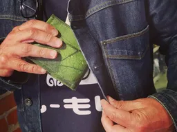 BY COPALA BY COPALA Portemonnaie aus Blättern in grün, 1-fach gefaltet – Produktbild 1 von 1