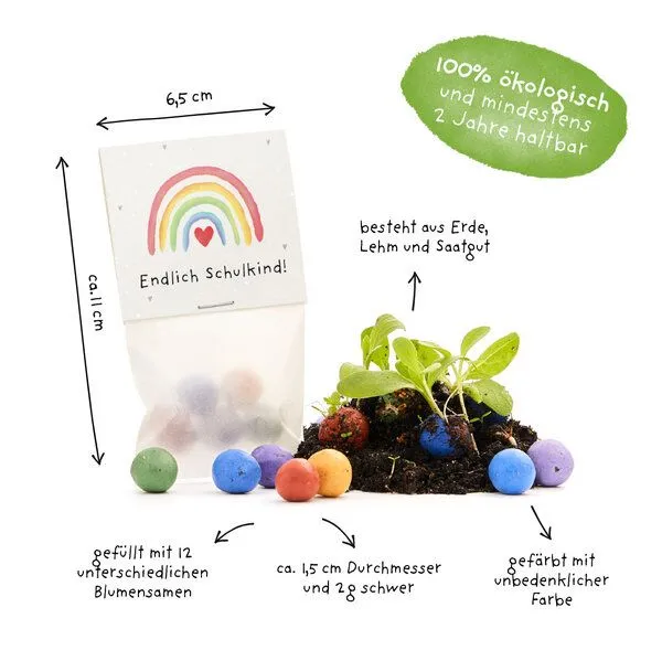 Die Stadtgärtner Die Stadtgärtner 5 bunte Blumenmurmeln im Tütchen mit Wildblumensaatgut | Geschenkidee zur Einschulung, Schulanfang, für Schultüte | "Endlich Schulkind!" – Produktbild 4 von 4