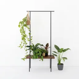 weld weld Garderobe Nussbaum 01 – Produktbild 1 von 1